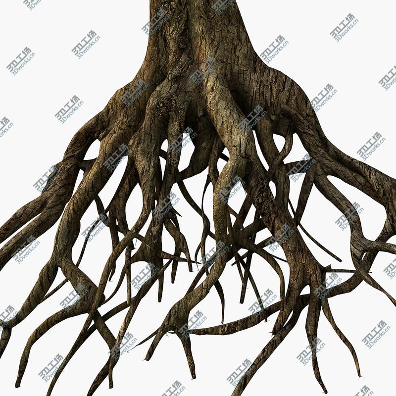 images/goods_img/2021040165/Tree Roots/5.jpg